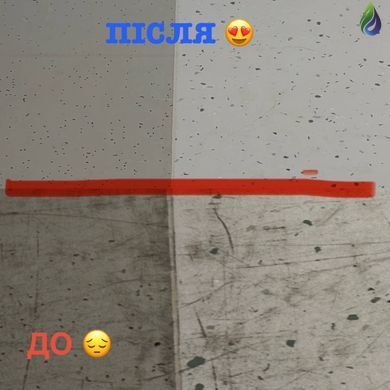 TASKI Ergodisc Flexx &mdash; акумуляторна роторна машина для підлоги