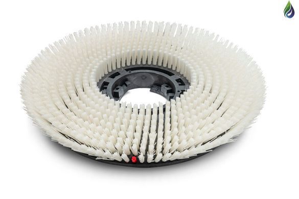 TASKI Ergodisc 165 &mdash; професійна роторна машина для підлоги